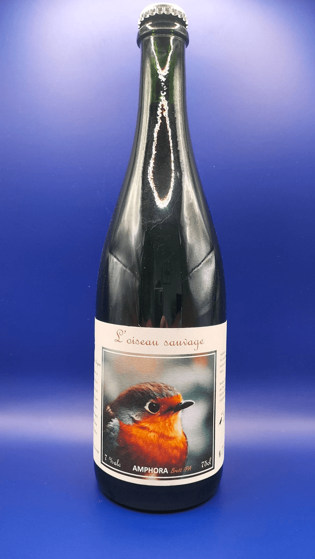 Amphora Brett IPA