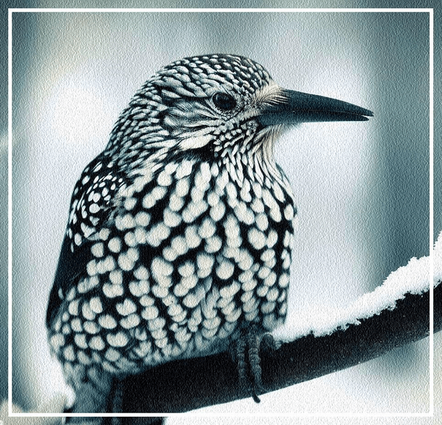 Regal 
