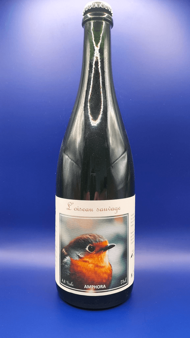 Amphora #1