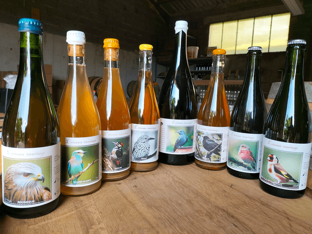 Pack 6 bouteilles